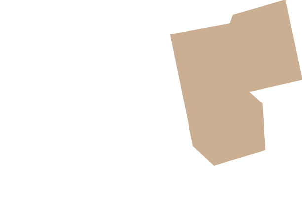Leaks Overlay