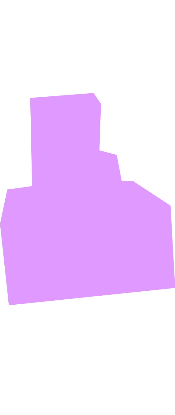 BackPain Overlay