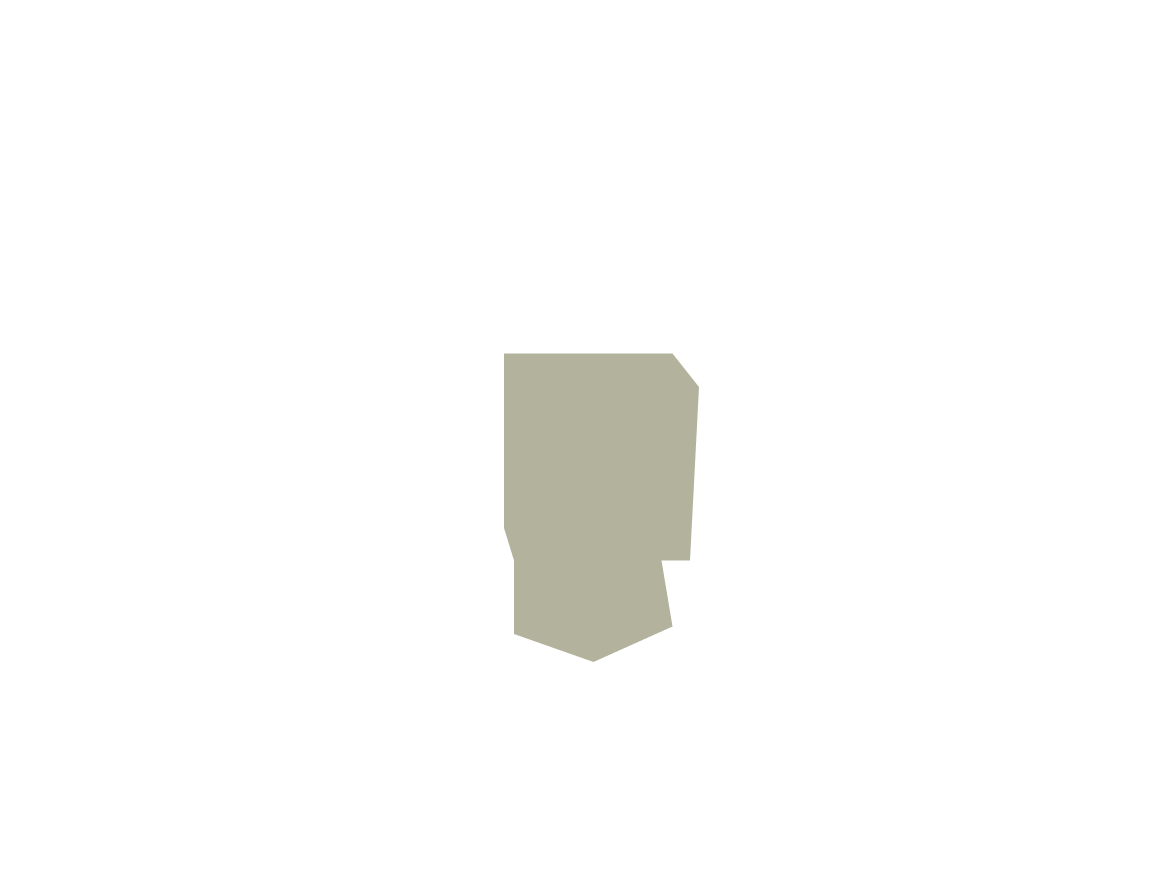 Infection Overlay
