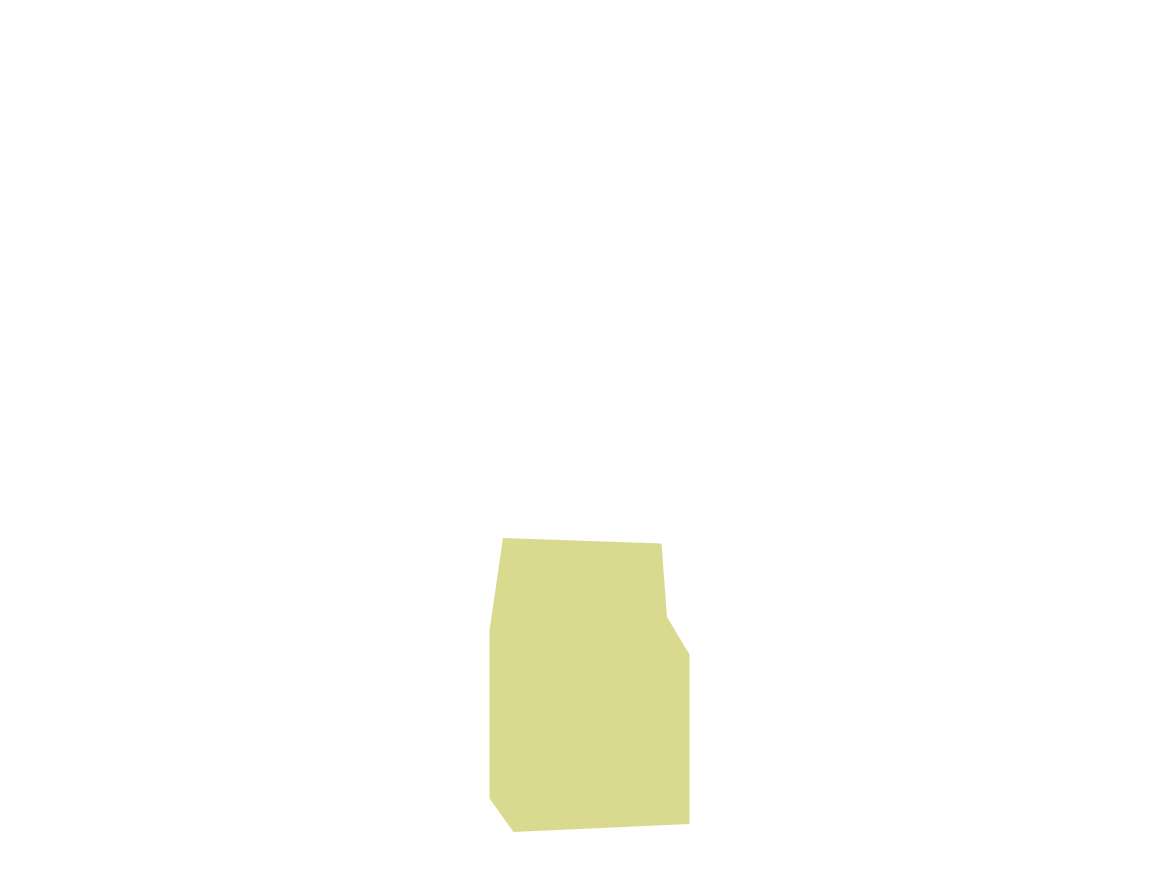 JointPain Overlay