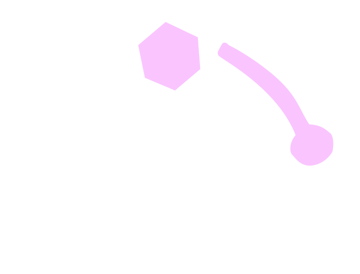 Nose Overlay