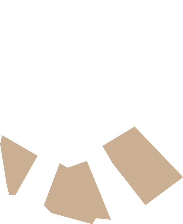 Leaks Overlay